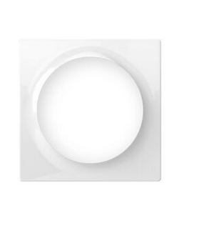 FIBARO Single Cover Plate | FG-Wx-PP-0001