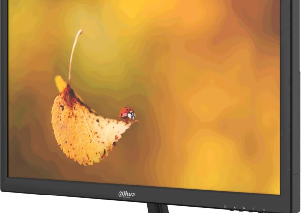 MONITOR DAHUA LM19-L200