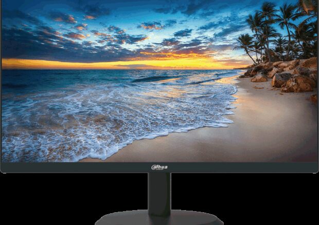 MONITOR DAHUA LM22-H200