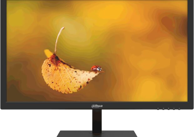 MONITOR DAHUA LM19-L200